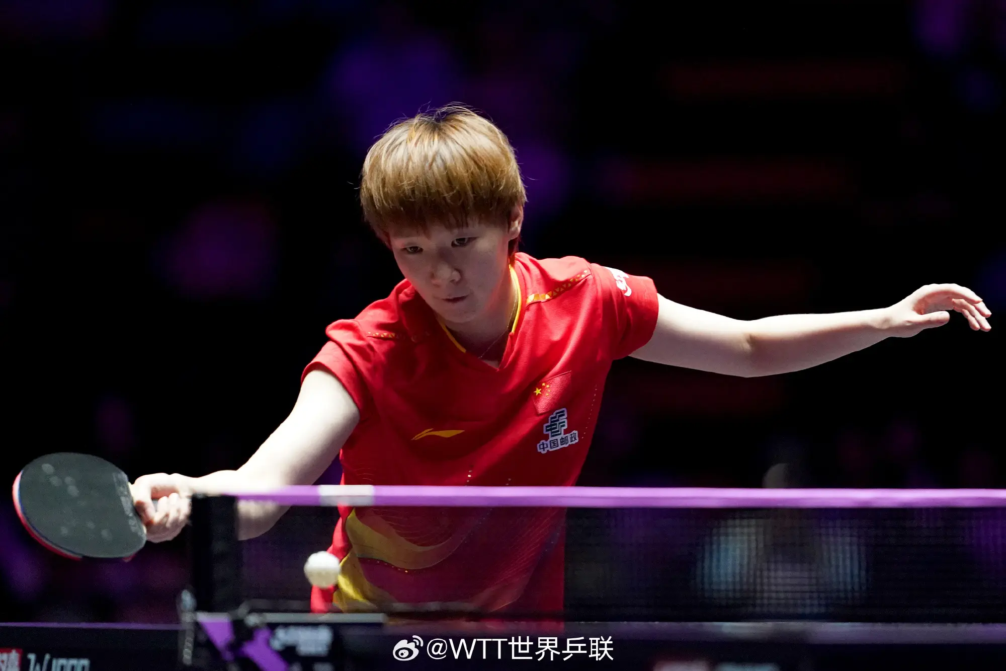 乒乓球锦标 乒乓球锦标