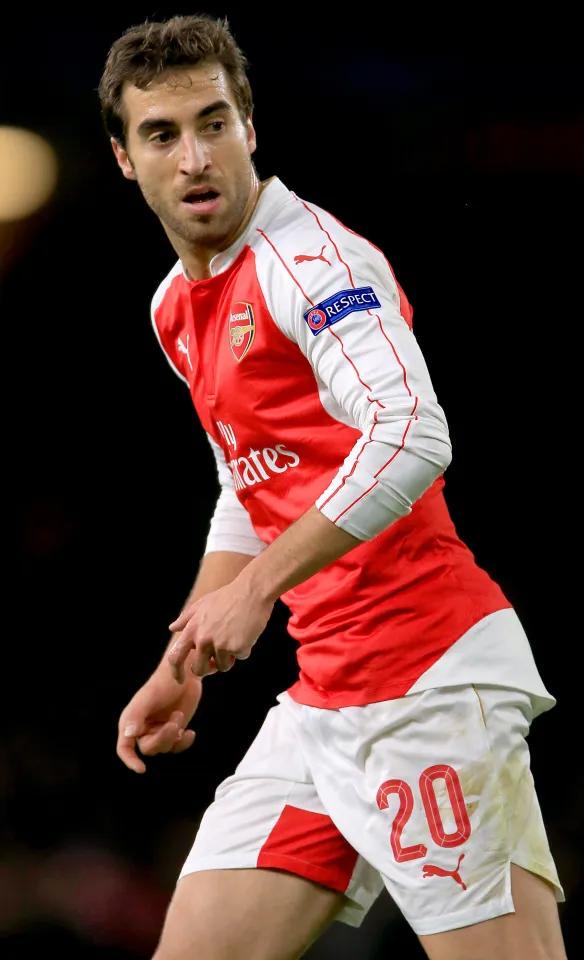 弗拉米尼在, 转身成为亿, dingy 弗拉米尼在, 转身成为亿, dingy